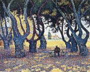 Paul Signac plane trees place des lices oil painting reproduction